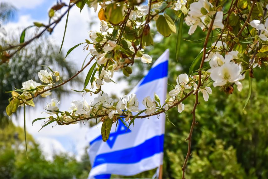 פרשת כי תבוא באור הקבלה והחסידות / עריכה:דוד אגמון